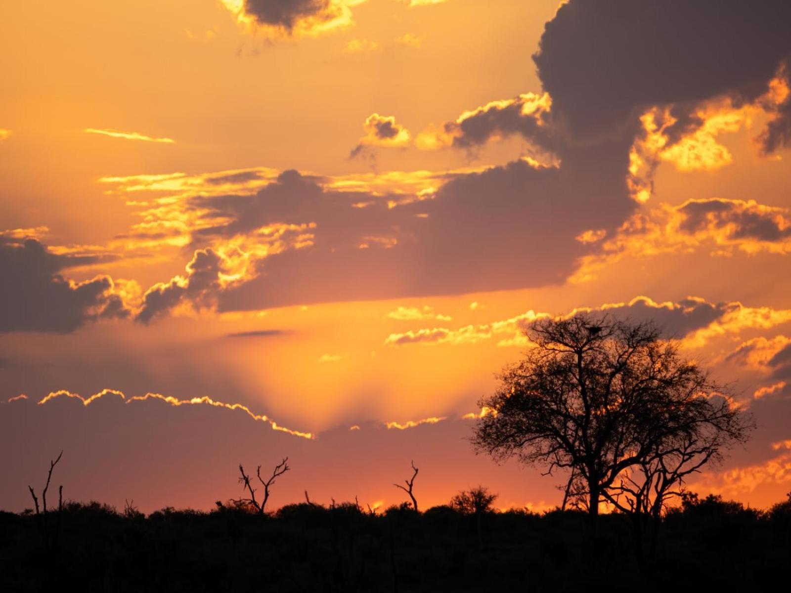 Grace Of Africa, Couples 5 Star Nature Lodge Marloth Park Dış mekan fotoğraf